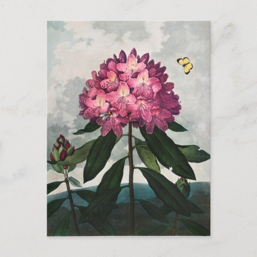 Carte Postale Illustration de fleurs vintage (Devant)