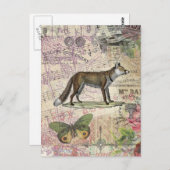 Carte Postale Illustration de Fox Wildlife Vintage Animal (Devant / Derrière)