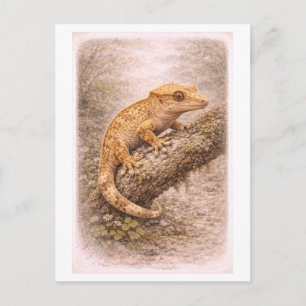Carte Postale Illustration de gecko à crête de style vintage