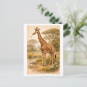 Carte Postale Illustration de girafe à l'ancienne (Debout devant)