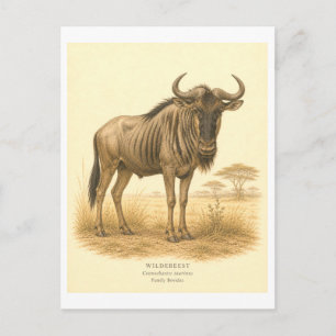 Carte Postale Illustration de gnou de style vintage