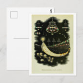 Carte Postale Illustration de Grandville "Wanderings of a Comet" (Devant / Derrière)