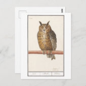 Carte Postale Illustration de hibou vintage (Devant / Derrière)