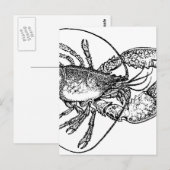 Carte Postale Illustration de homard vintage (Devant / Derrière)