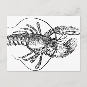 Carte Postale Illustration de homard vintage