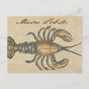 Carte Postale Illustration de homard vintage : Damassé côtier 