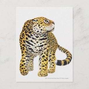 Carte Postale Illustration de Jaguar avec tête en profil