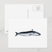 Carte Postale Illustration de la baleine bleue (crachage) (Devant / Derrière)