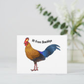 Carte Postale Illustration de la caricature d'oiseaux de jungle  (Debout devant)