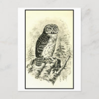 Illustration de la Chouette à Chien vintage