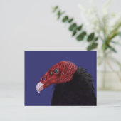 Carte Postale Illustration de la dinde vautour à deux tons (Debout devant)