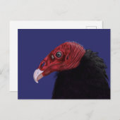 Carte Postale Illustration de la dinde vautour à deux tons (Devant / Derrière)