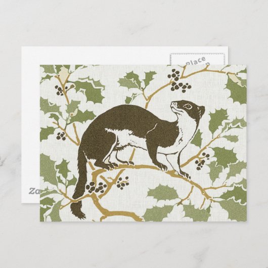 Carte Postale Illustration de la faune de l'art nouveau - Mink (Devant / Derrière)