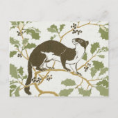 Carte Postale Illustration de la faune de l'art nouveau - Mink (Devant)