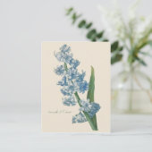 Carte Postale Illustration de la fleur bleue Hyacinth (Debout devant)