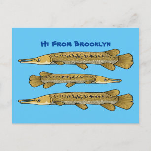 Carte Postale Illustration de l'alligator garfish