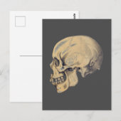 Carte Postale Illustration de l'anatomie crânienne vintage (Devant / Derrière)