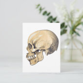 Carte Postale Illustration de l'anatomie crânienne vintage (Debout devant)