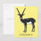 Carte Postale Illustration de l'antilope Blackbuck (Devant / Derrière)