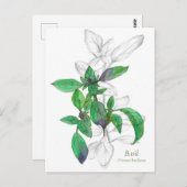 Carte Postale Illustration de l'aquarelle de Cuisine de base (Devant / Derrière)