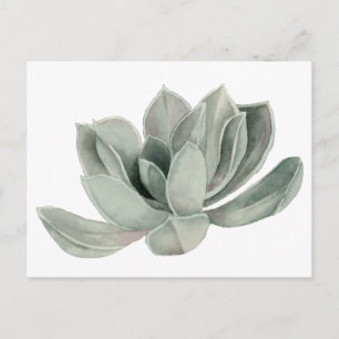 Carte Postale Illustration de l'aquarelle du Plante