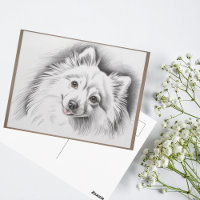 Illustration de l'esquisse de la race de chien Spi
