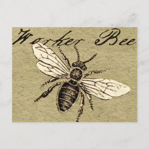 Carte Postale Illustration de l'insecte abeille du travailleur