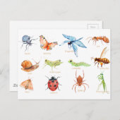 Carte Postale Illustration de l'insecte de l'aquarelle (Devant / Derrière)