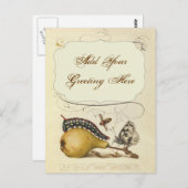 Carte Postale Illustration de l'insecte du fruit du papillon (Devant / Derrière)