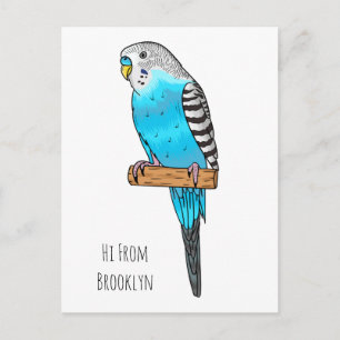 Carte Postale Illustration de l'oiseau bleu budgerigar