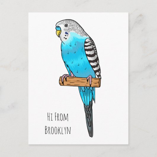 Carte Postale Illustration de l'oiseau bleu budgerigar (Devant)