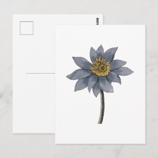 Carte Postale Illustration de lotus bleu dessiné à la main