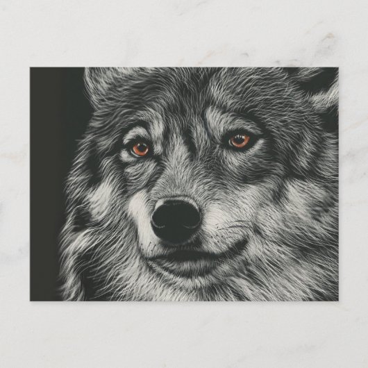 Carte Postale Illustration de loup noir et blanc (Devant)