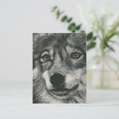 Carte Postale Illustration de loup noir et blanc (Debout devant)