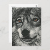 Carte Postale Illustration de loup noir et blanc (Devant / Derrière)