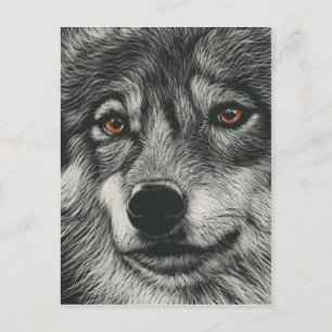 Carte Postale Illustration de loup noir et blanc