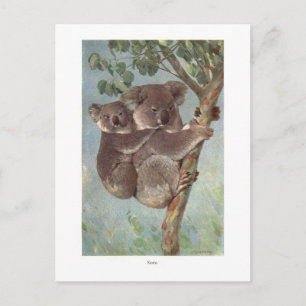 Carte Postale Illustration de l'ours Koala dans l'arbre