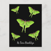 Carte Postale Illustration de Luna Moth (Devant)