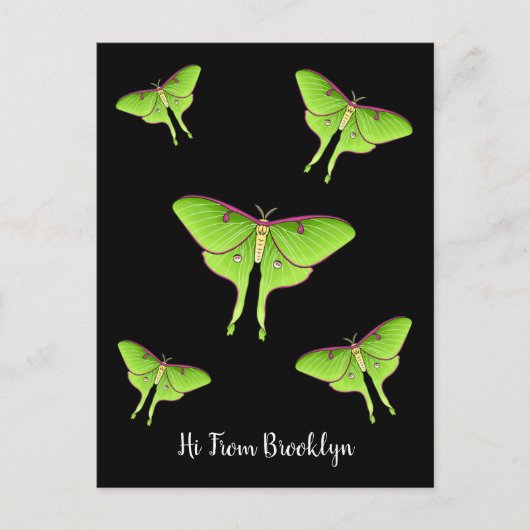 Carte Postale Illustration de Luna Moth (Devant)
