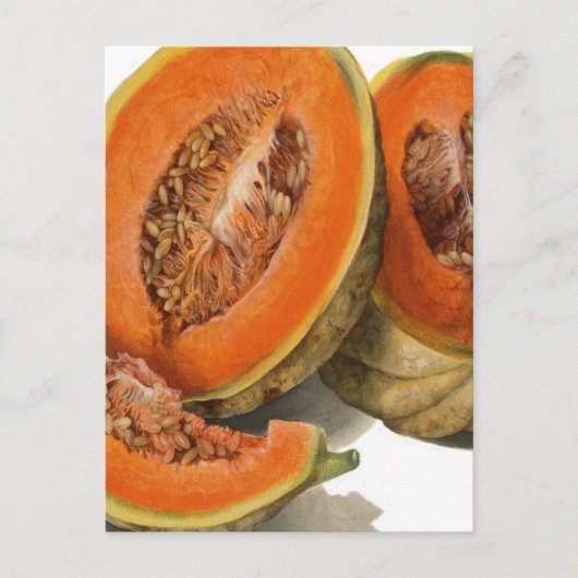 Carte Postale Illustration de melon de cantaloupe coupé (Devant)