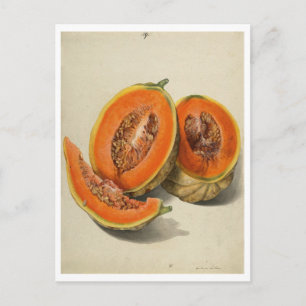 Carte Postale Illustration de melon de cantaloupe coupé