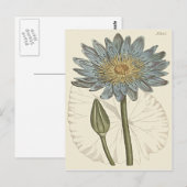 Carte Postale Illustration de Nymphéa bleu (Devant / Derrière)