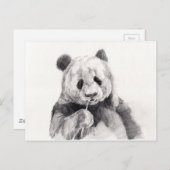 Carte Postale Illustration de panda noir et blanc mignon (Devant / Derrière)