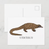 Carte Postale Illustration de pangolin à queue longue (Devant / Derrière)