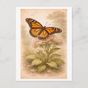 Carte Postale Illustration de papillon monarque de style vintage
