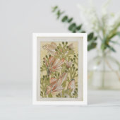 Carte Postale illustration de poisson vintage (Debout devant)