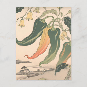 Carte Postale Illustration de poivre chili vintage