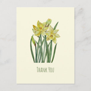Carte Postale Illustration de portrait de fleurs de jonquilles à
