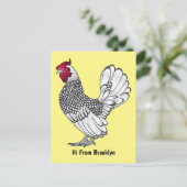Carte Postale Illustration de poulet Sebright (Debout devant)