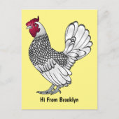 Carte Postale Illustration de poulet Sebright (Devant)